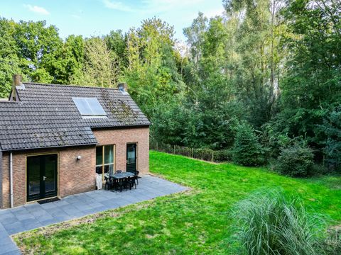 BUNGALOW 6 personnes - Forêt 151