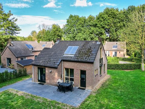 BUNGALOW 6 personnes - Forêt 151