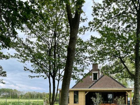 BUNGALOW 6 personnes - Forêt 223