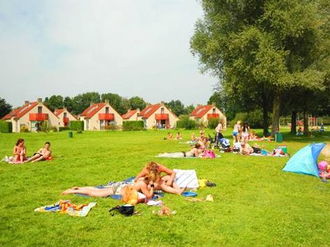 Vakantiepark 't Broeckhuys - Camping Beuningen - Image N°3