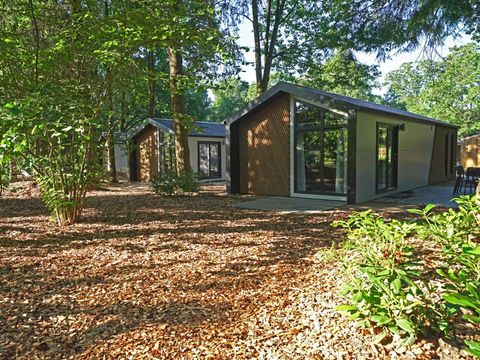 CHALET 4 personnes - Velthorst