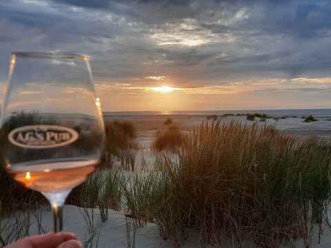 Parc Koudenburg - Camping Ameland - Image N°15