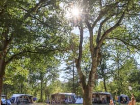 Parc de vacances RCN De Roggeberg - Camping Ooststellingwerf - Image N°36