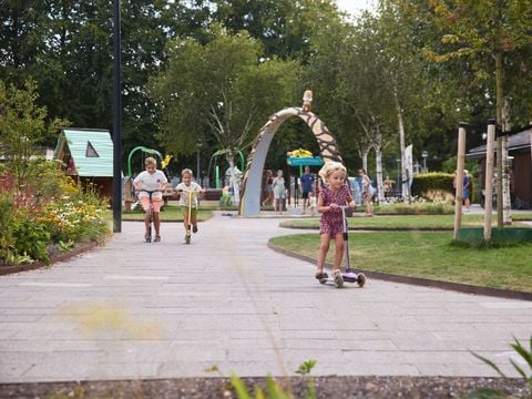 RCN Vakantiepark De Roggeberg - Camping Ooststellingwerf - Image N°12