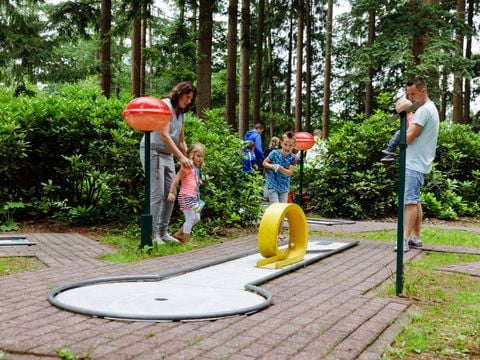 RCN Vakantiepark De Roggeberg - Camping Ooststellingwerf - Image N°15