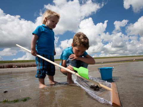 Bungalowpark 't Hoogelandt - Camping Texel - Image N°23