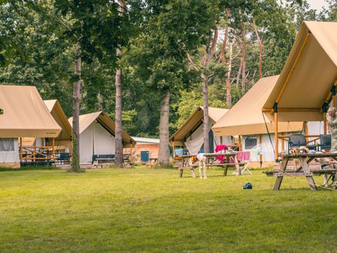 EuroParcs Reestervallei - Camping Staphorst - Image N°23