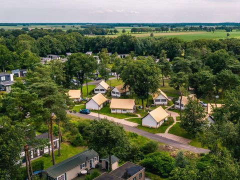 Tente 6 personnes - Glamping