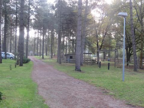 Park Molenheide - Camping Limbourg Belge - Image N°36
