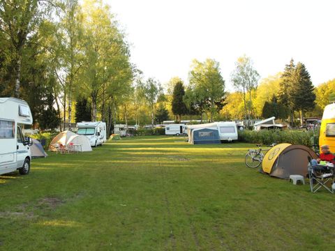 TopParken De Wielerbaan - Camping Wageningen - Image N°45