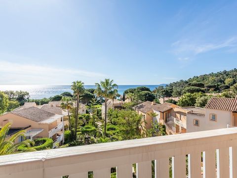 Appartement 4 personnes - - 1 chambre - Terrasse ou balcon - Vue mer - Exposition sud