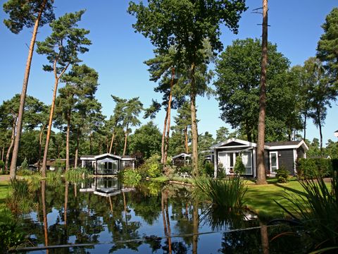 Bospark Markelo - Camping Hof van Twente - Image N°7