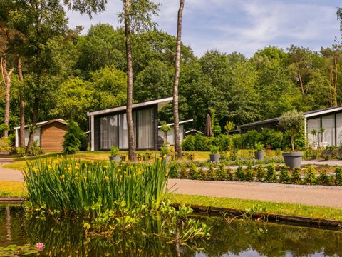 Bospark Markelo - Camping Hof van Twente - Image N°8