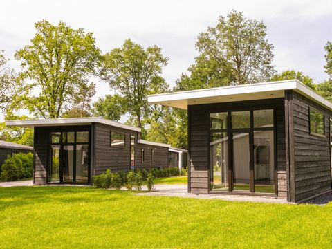 Bospark Markelo - Camping Hof van Twente - Image N°6