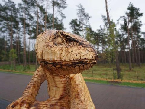 EuroParcs De Wije Werelt - Camping Ede