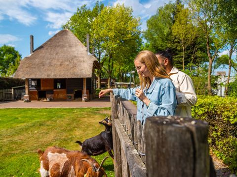 EuroParcs De Wije Werelt - Camping Ede