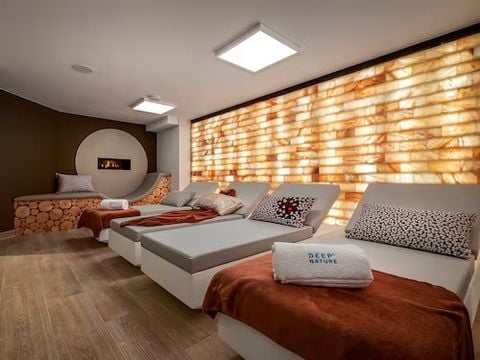 Pierre & Vacances Premium Résidence L'Hévana - Camping Savoie