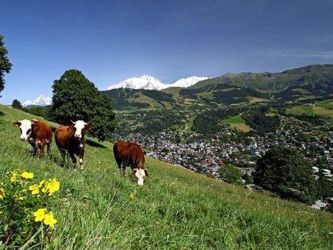 Pierre & Vacances Résidence Le Mont d'Arbois - Camping Haute-Savoie - Image N°23