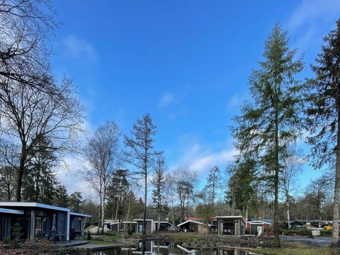 De Rimboe & Woeste Hoogte - Camping Apeldoorn - Image N°7
