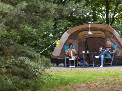 Oostappen park Boschbeek - Camping Roerdalen - Image N°5