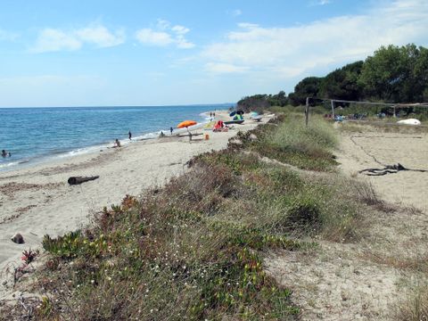 Rico Plage - Camping Corse du nord - Image N°25
