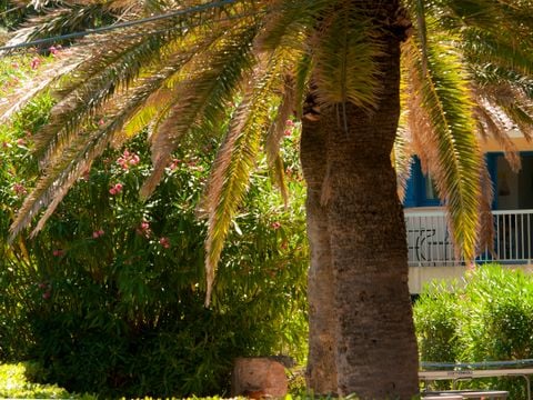 Résidence Goélia Le Domaine de La Pinède - Camping Var