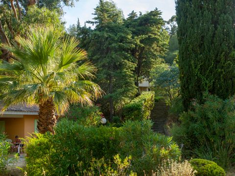 Résidence Goélia Le Domaine de La Pinède - Camping Var - Image N°21