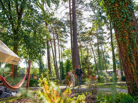 TENTE 6 personnes - Tente Papendaal Lodge