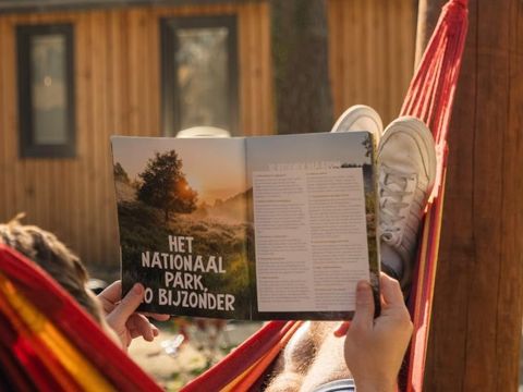 TENTE 6 personnes - Tente Papendaal Lodge