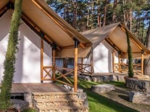 TENTE 6 personnes - Tente Papendaal Lodge