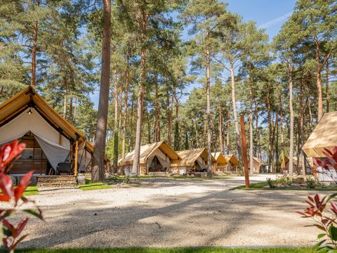 TENTE 6 personnes - Tente Papendaal Lodge