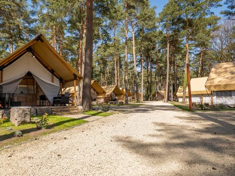 TENTE 6 personnes - Tente Papendaal Lodge