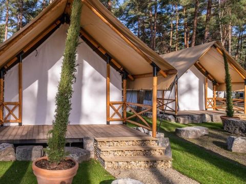 TENTE 4 personnes - Tente Papendaal Lodge