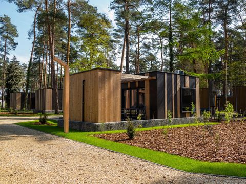 GÎTE 4 personnes - Cottage Forest