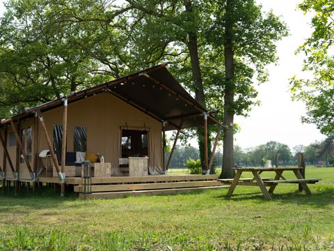 Finspark Herikerberg - Camping Hof van Twente - Image N°41