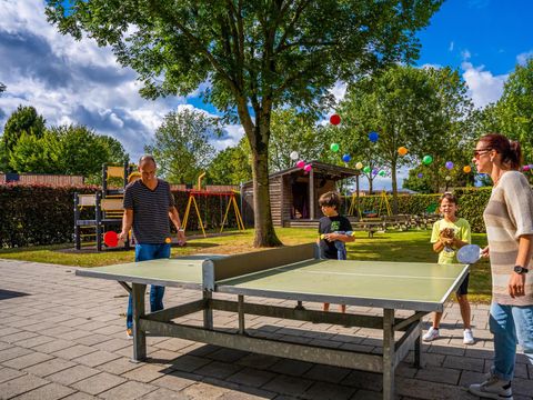 CHALET 4 personnes - Domus 4