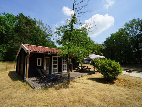 CHALET 4 personnes - Drentse Kap