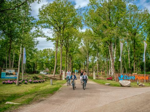 CHALET 4 personnes - Drentse Kap