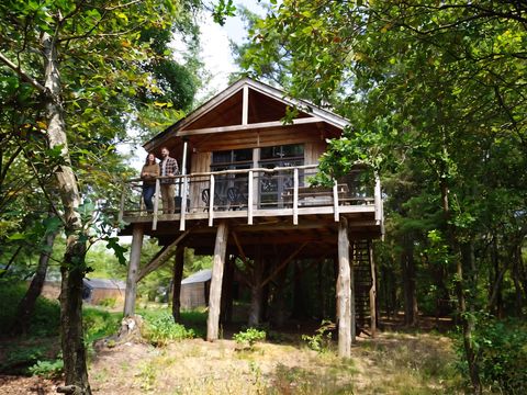 Hébergement 6 personnes - Maison dans les arbres XXL Bain à remous