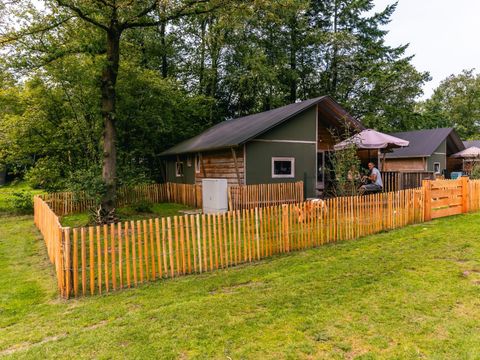 TENTE TOILE ET BOIS 6 personnes - Tente de glamping Dog Lodge