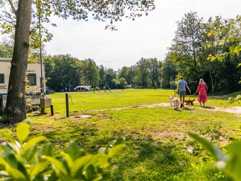 Emplacement - Confort