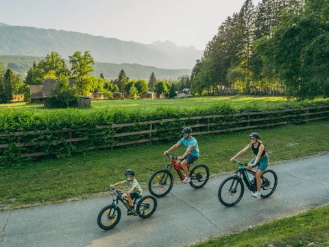 EuroParcs Pressegger See - Camping Carinthie - Image N°13