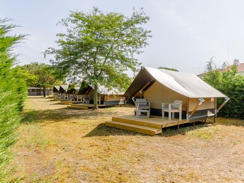 Camping Bel Air Village la Baie - Camping Vendée - Image N°19