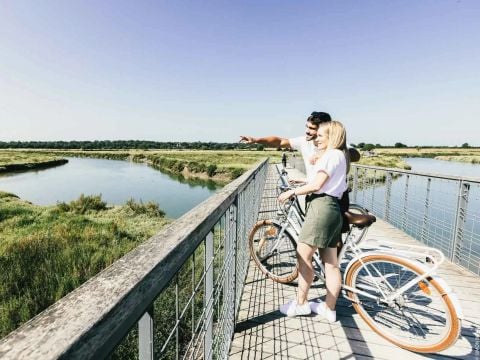 Camping Bel Air Village la Baie - Camping Vendée - Image N°13