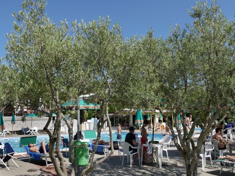 Camping Le Soline - Camping Sienne - Image N°3