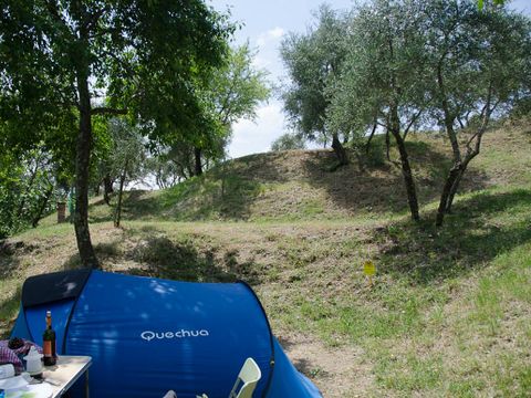 Camping Le Soline - Camping Sienne - Image N°14