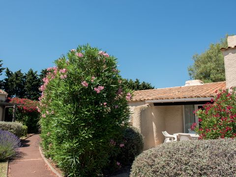 SOWELL - Résidence Les Lauriers Roses - Camping Hérault - Image N°21