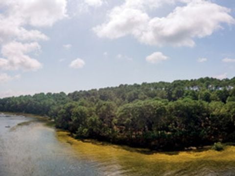 SOWELL - Domaine Les Sentes Carcans-Maubuisson - Camping Gironde - Image N°23