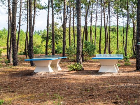 SOWELL - Domaine Les Cavales - Camping Gironde - Image N°11