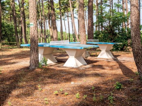 SOWELL - Domaine Les Cavales - Camping Gironde - Image N°10